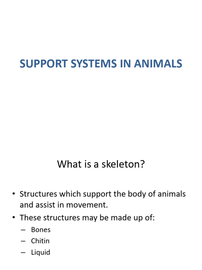LFSC - THE SKELETON | PDF | Vertebral Column | Skeleton