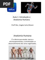 Atlas de Anatomia Humana para Fisioterapia | PDF | Fisioterapia | Anatomia