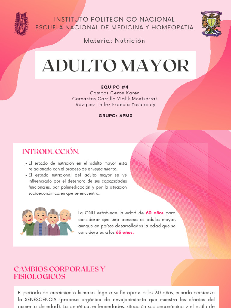 Nutrición y Envejecimiento en Adultos Mayores | PDF | Dieta | Nutrición