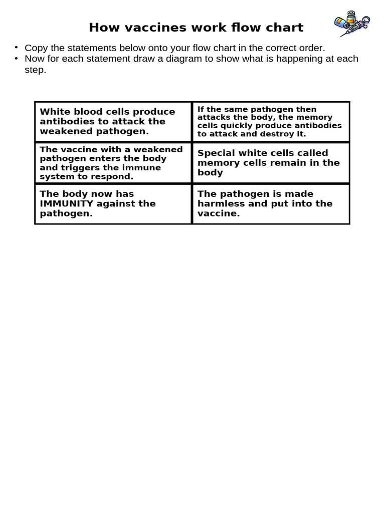 Vaccine Immunity Flowchart Guide | PDF