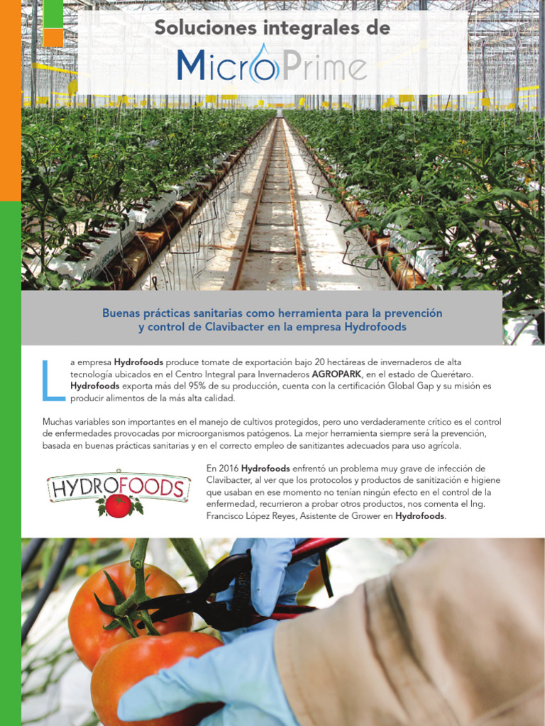 MicroPrime Testimonio Hydrofoods | PDF