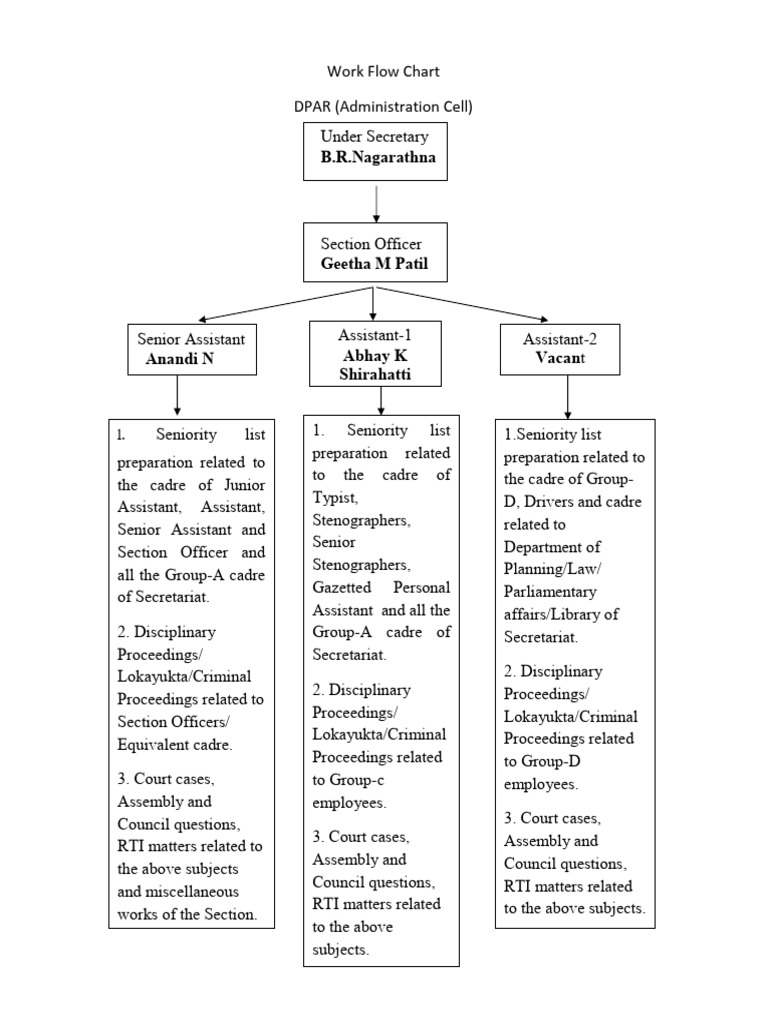 DPAR Administration Workflow Chart | PDF