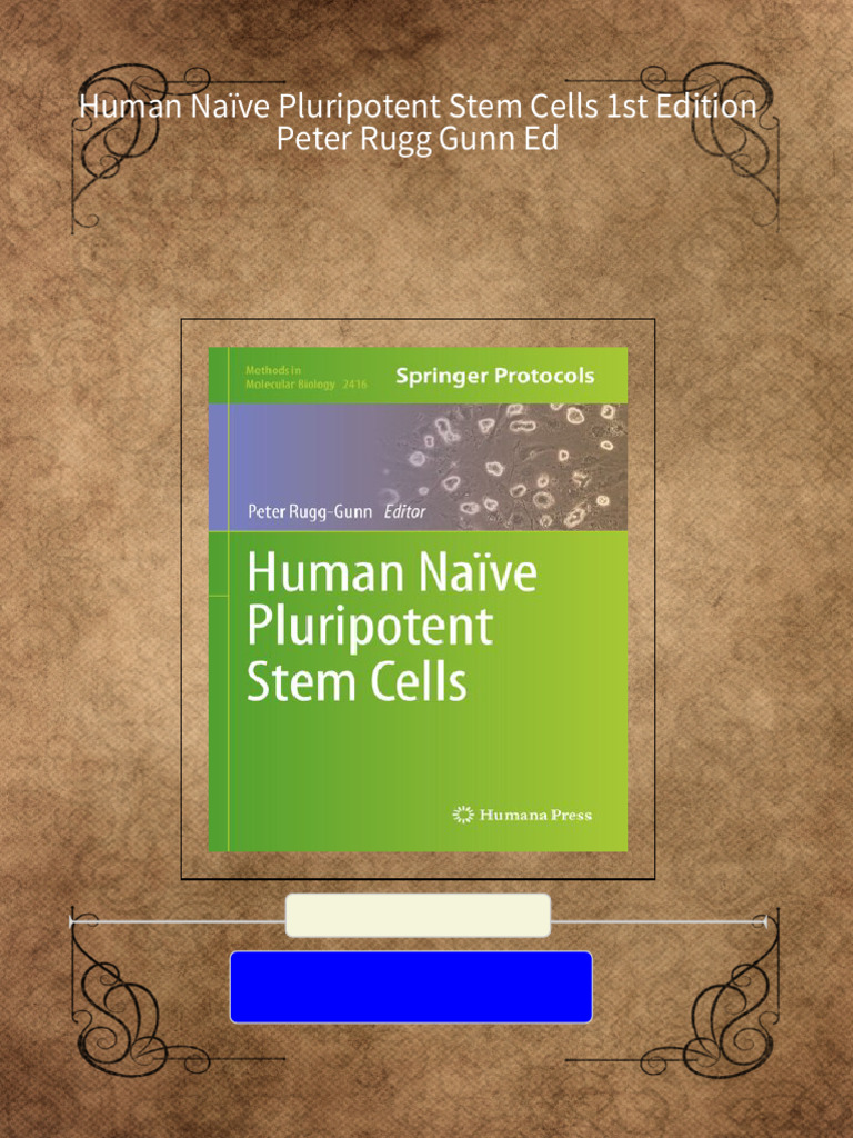 Full Human Naïve Pluripotent Stem Cells 1st Edition Peter Rugg Gunn Ed ...