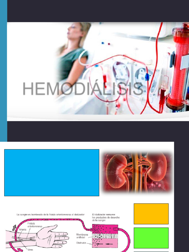 Hemodiálisis: Principios y Técnicas | PDF | Hemodiálisis