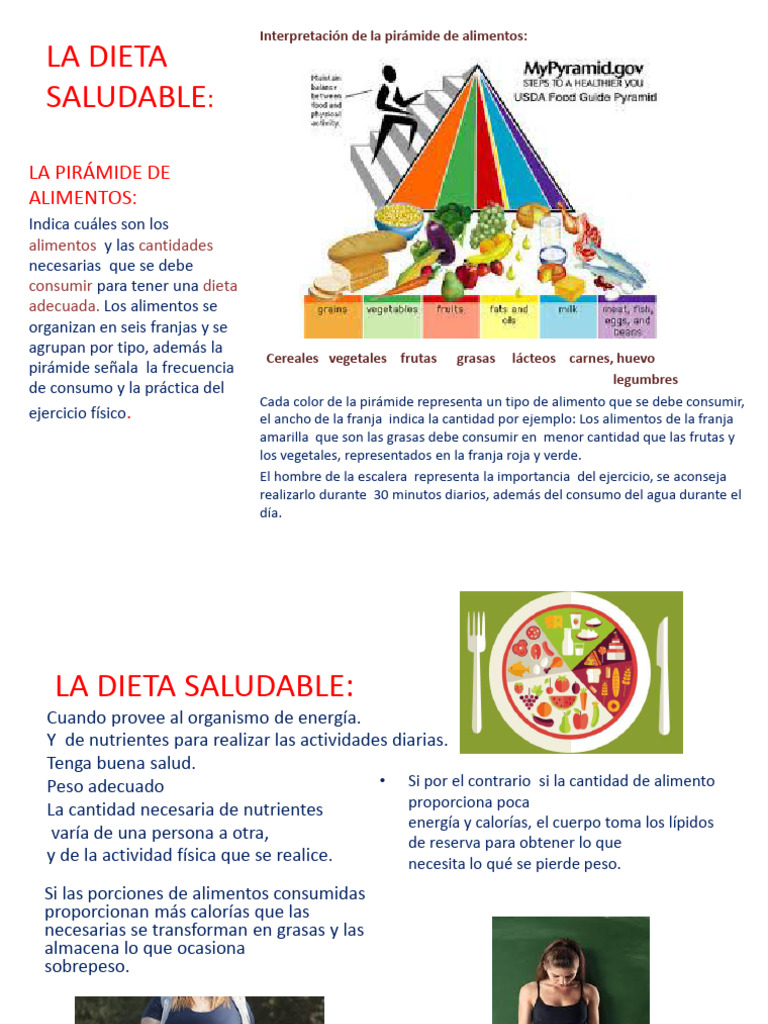 La Dieta Saludable | PDF | Dieta | Alimentos