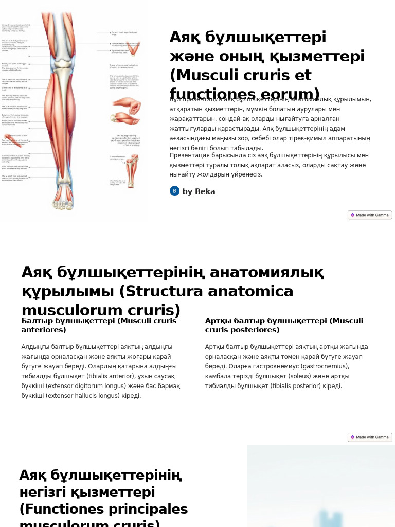 Порно жас және сексуалды