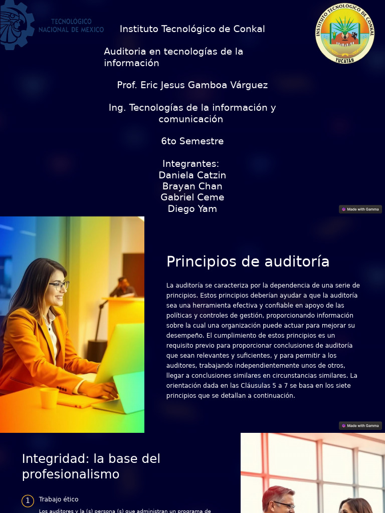 Principios De Auditoria Pdf Auditoría Planificación