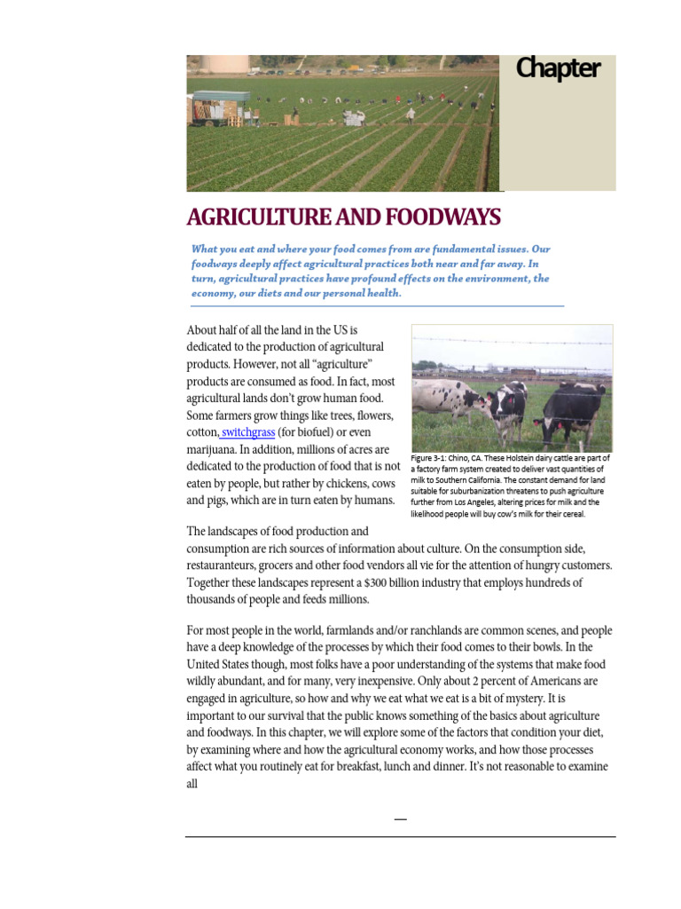 Chapter+3+Version+2.1 | PDF | Maize | Pastoralism