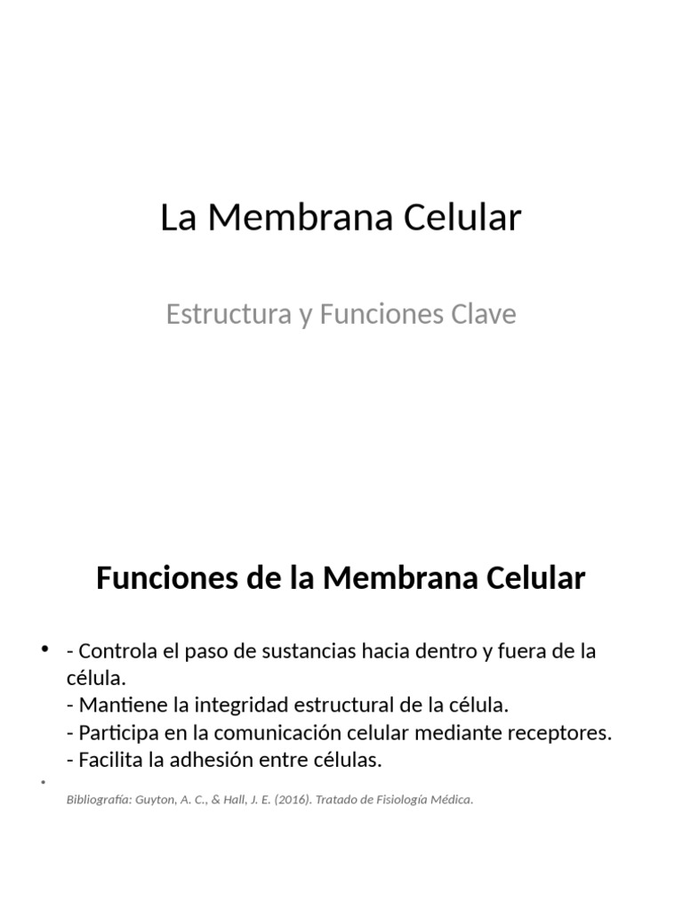 Estructura y Funciones de la Membrana Celular | PDF