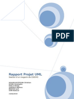 Rapport Uml