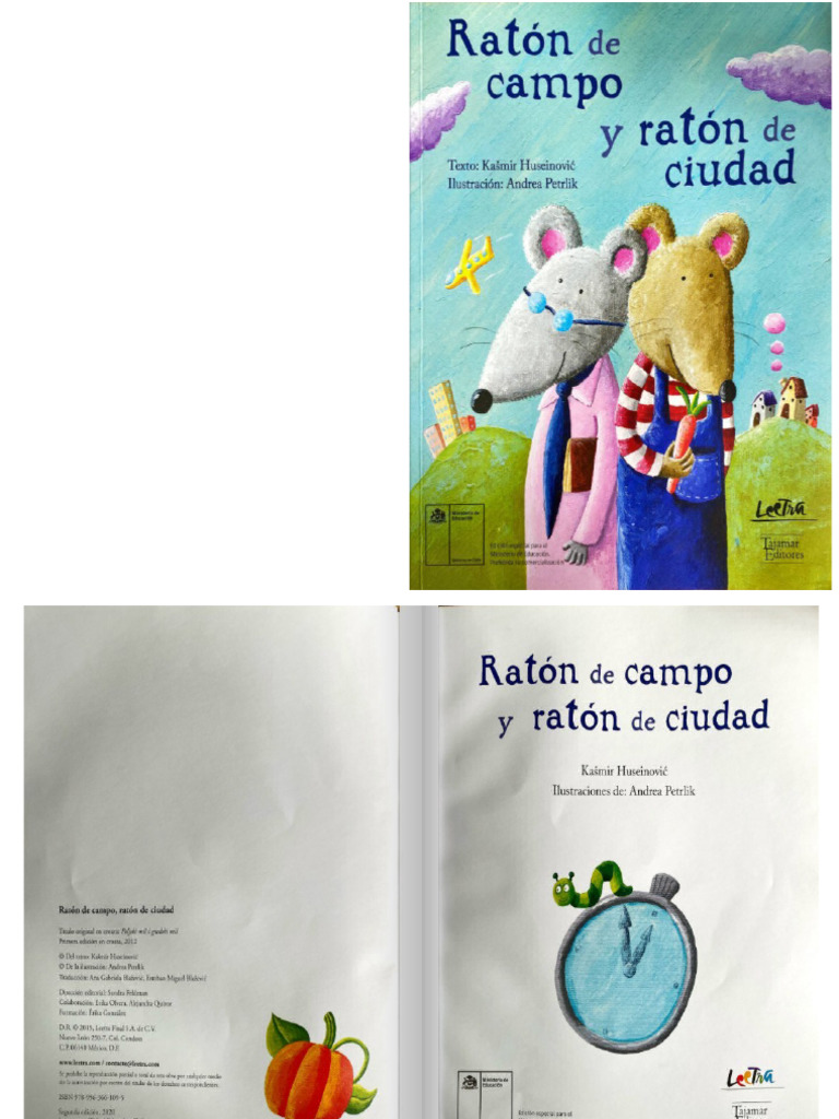 Libro Raton Campo y Ciudad | PDF