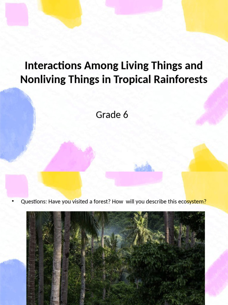 Rainforest Ecosystem Interactions Explained | PDF | Rainforest | Canopy ...