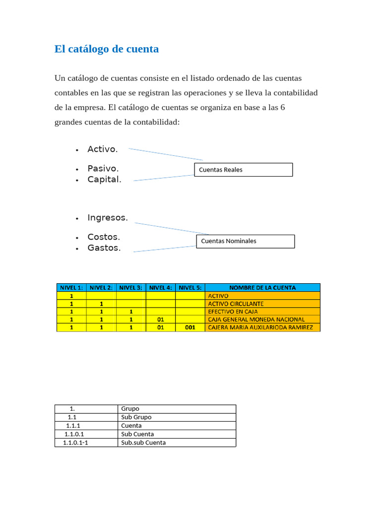 Catálogo de Cuentas Contables Detallado | PDF | Contabilidad | Inversiones