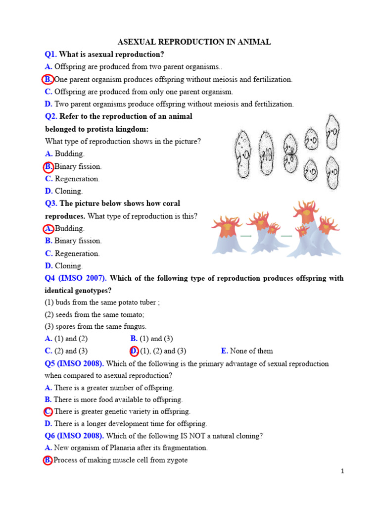 Asexual Reproduction in Animals Explained | PDF | Sexual Reproduction ...