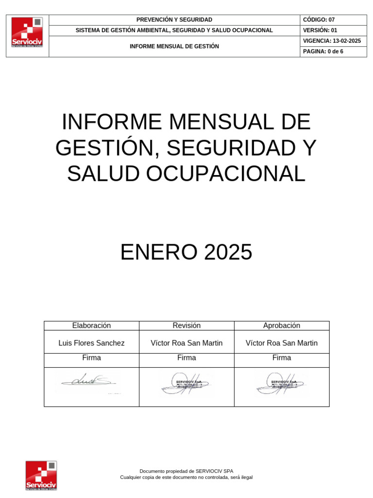 Informe Mensual SST - Enero 2025 | PDF | Seguridad y salud ocupacional ...