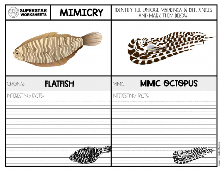 Mimicry Flatfish Octopus | PDF