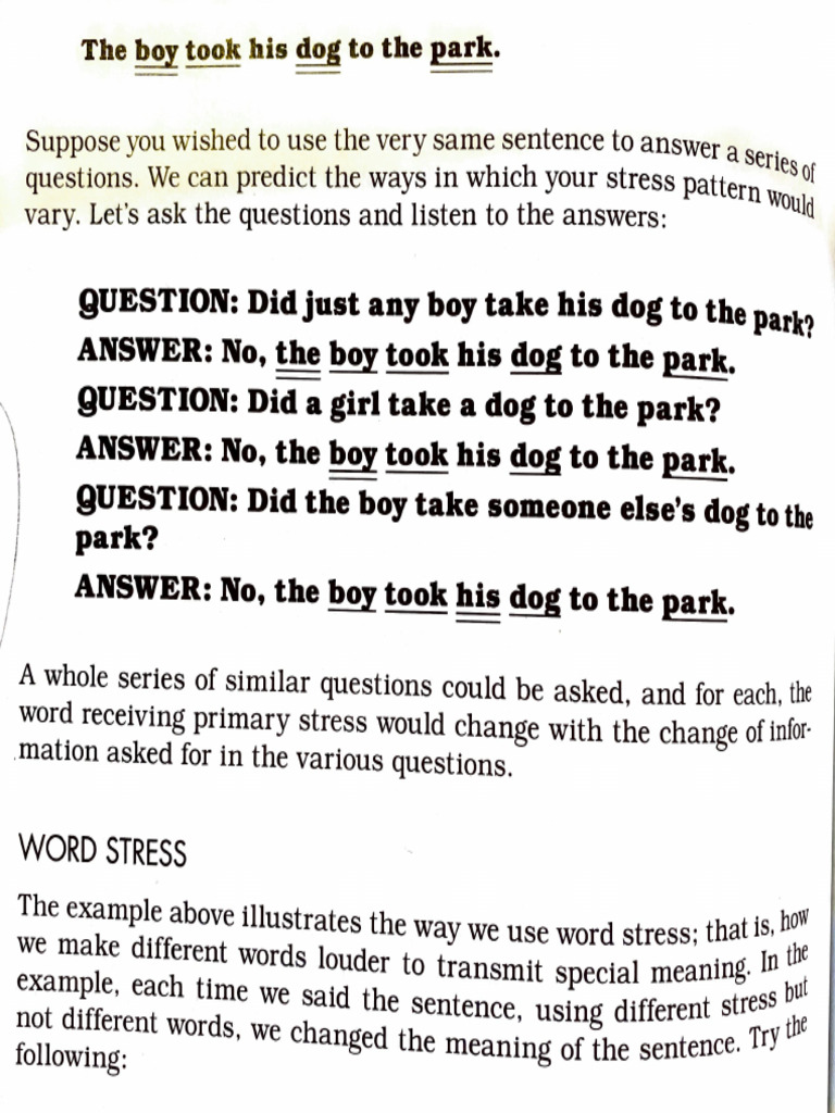 Understanding Word Stress in Sentences | PDF