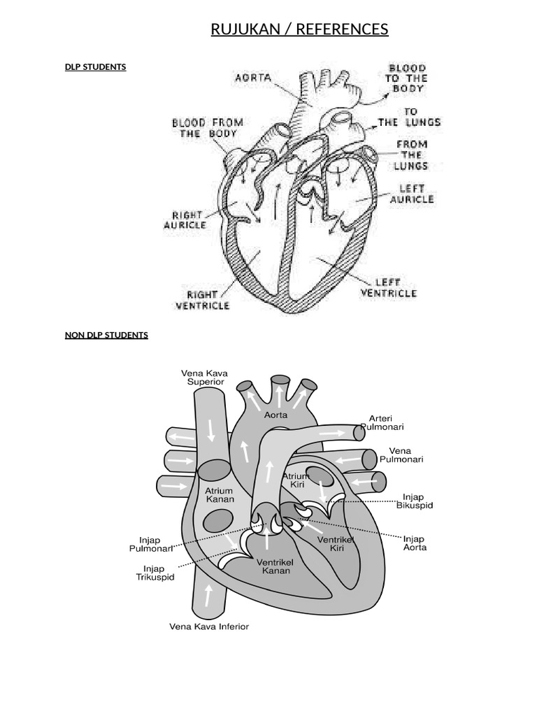 Heart Diagram Reference | PDF