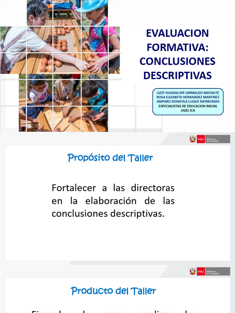 Conclusiones Descriptivas en Educación | PDF | Evaluación | Aprendizaje