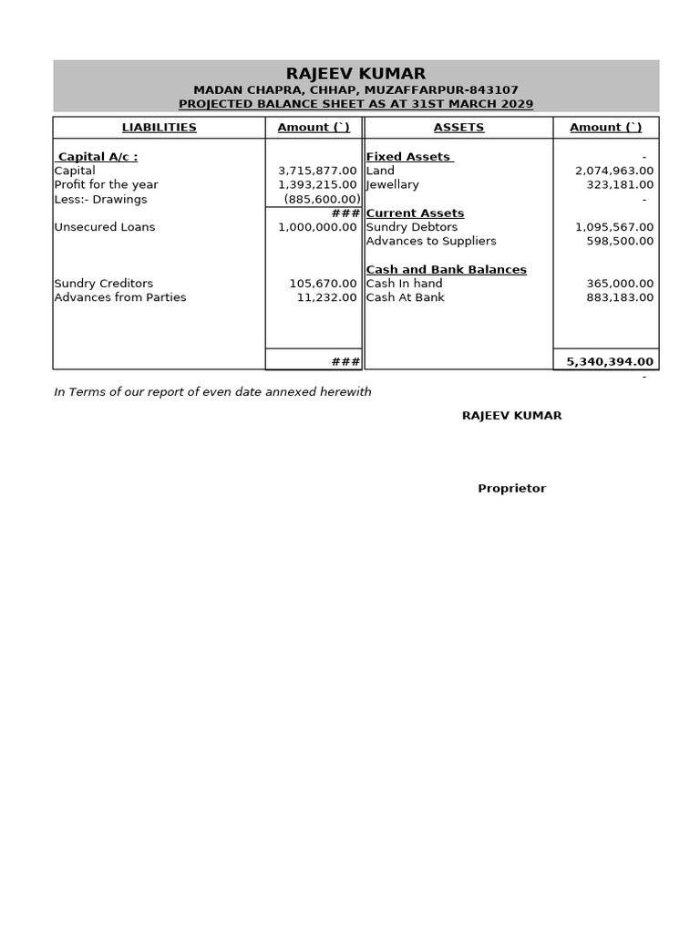 Projected Financial Statements 2029 | PDF | Balance Sheet | Personal ...