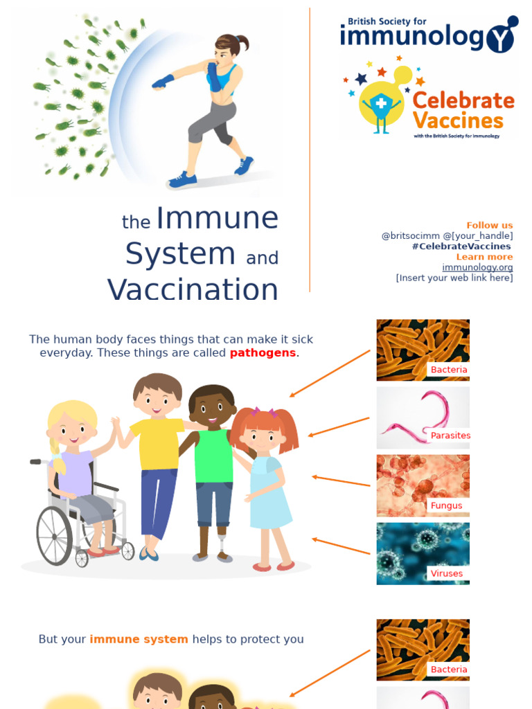 Understanding Immunity and Vaccination | PDF | Immune System | Adaptive ...