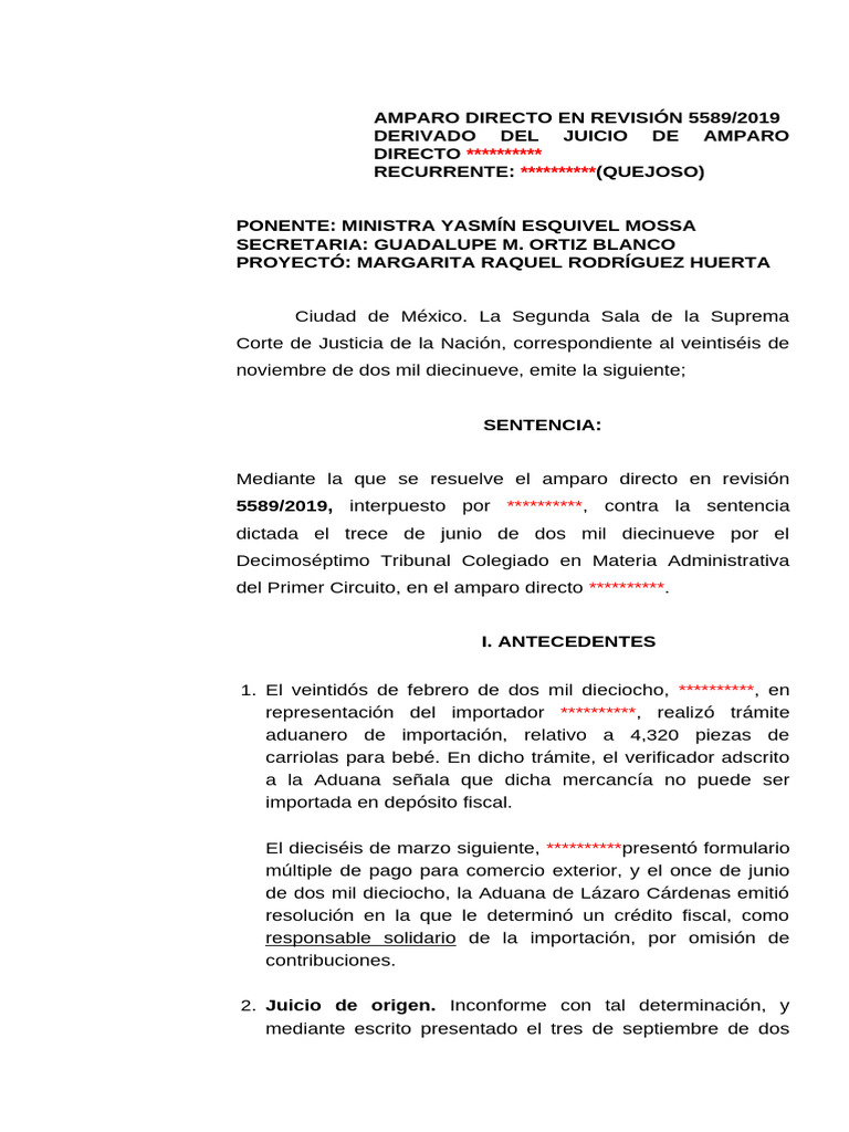 Amparo Directo 5589/2019: Sentencia SCJN | PDF | Caso de ley | Ciencias ...