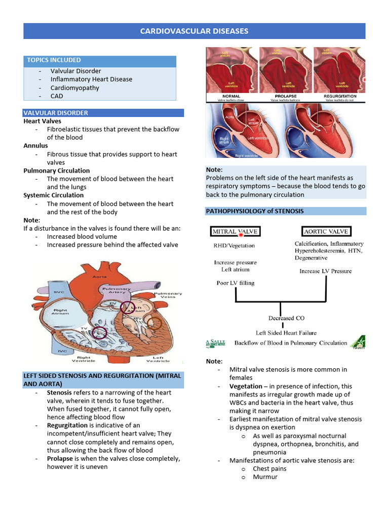 Understanding Cardiovascular Diseases | PDF | Heart | Myocardial Infarction