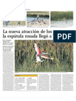 Pantanos de Villa: Ecosistema de biodiversidad y naturaleza en centro urbano de Lima, Perú.