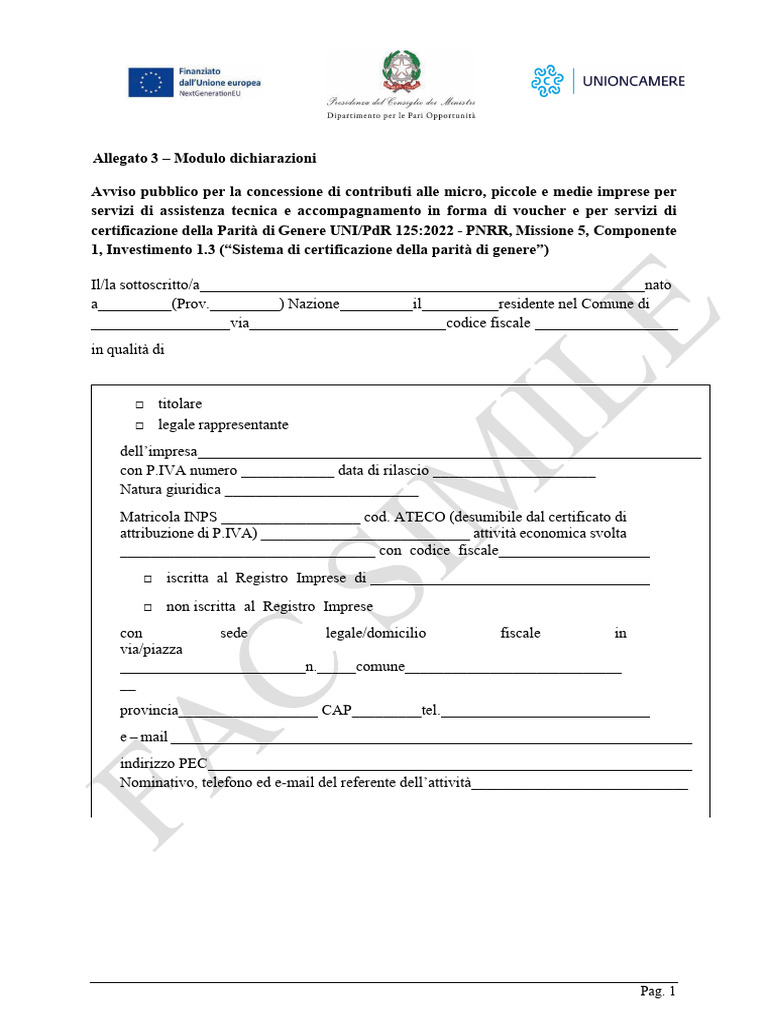Allegato 3 Modulo Dichiarazioni | PDF