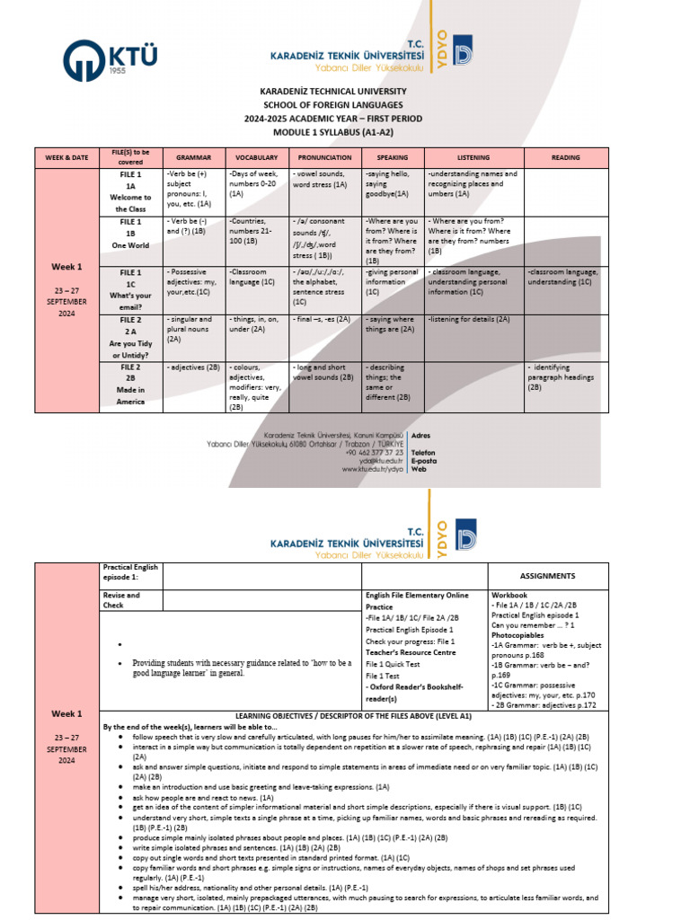 A1-A2 English Syllabus 2024-2025 | PDF | English Language | Word