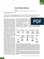 Recombining DNA by Protein Swivels