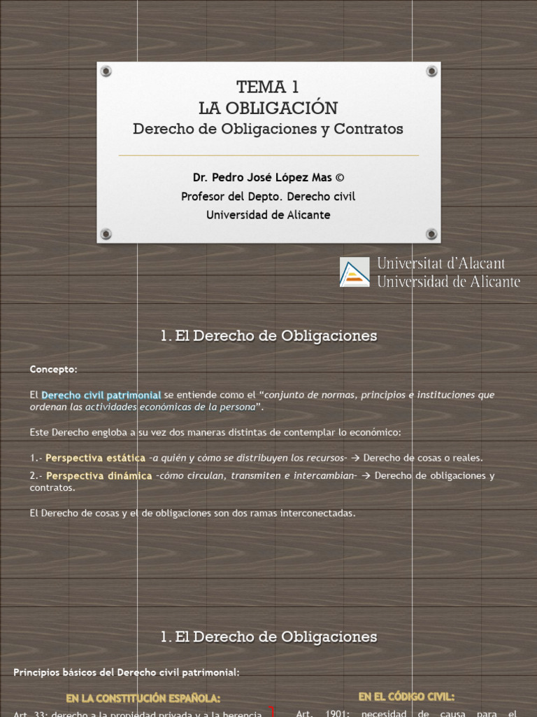Conceptos Clave del Derecho de Obligaciones | PDF | Pagos | Bienes (Ley)