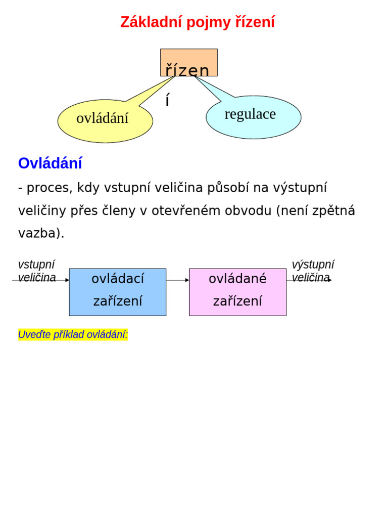 Základní Pojmy Řízení | PDF