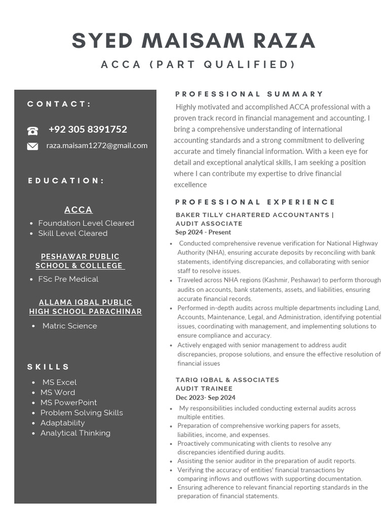 Elegant Minimalist CV Resume | PDF | Audit | Accounting