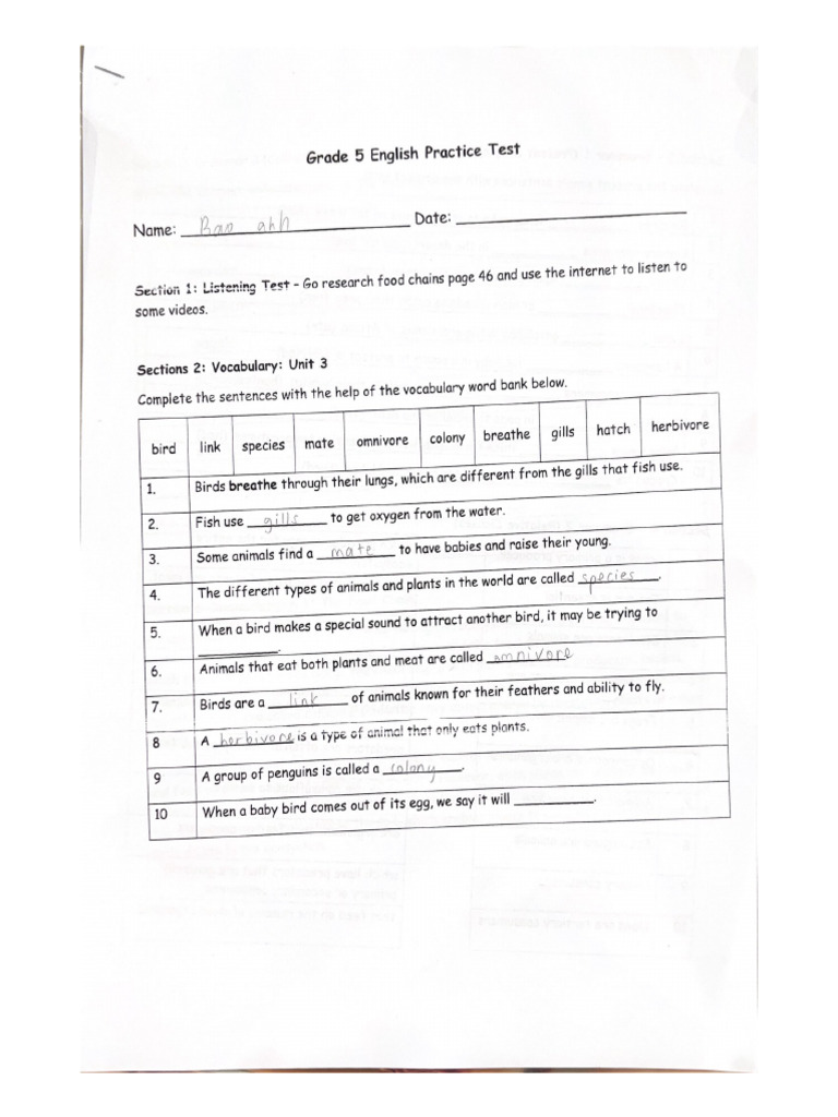 Grade 5 English Practice Test Pdf