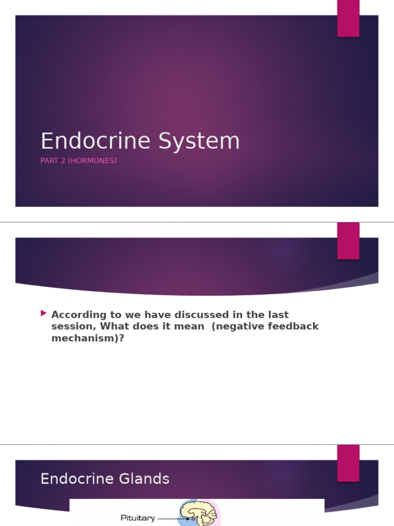 Endocrine System Part 2q8y7f | PDF | Adrenal Gland | Hormone