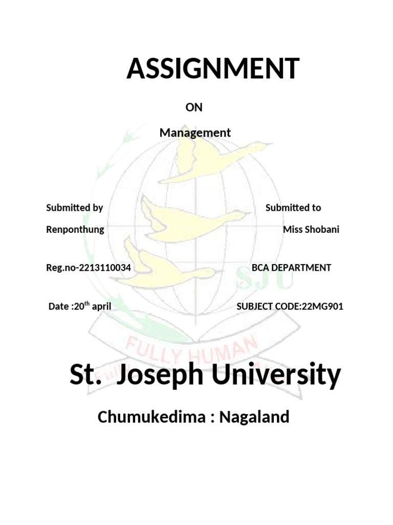 Management Assignment for Miss Chumukedima | PDF