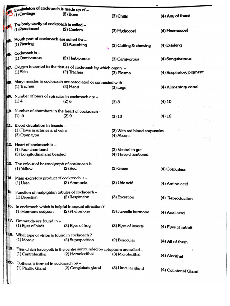 Cockroach 1 | PDF