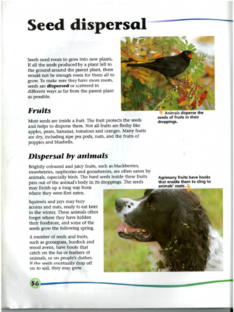 Page56