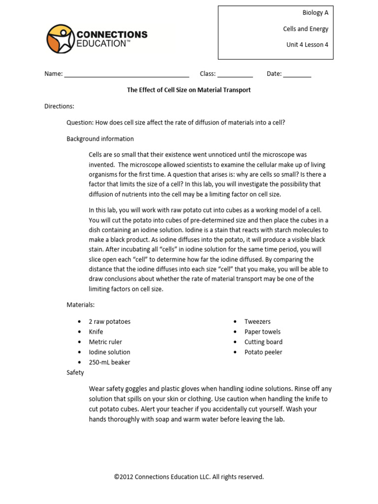 Effect of Cell Size On Material Transport - Lab Report | PDF | Volume ...