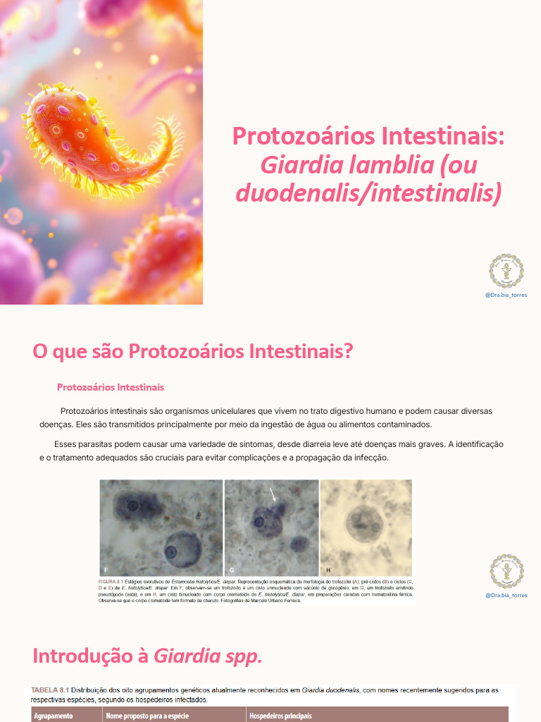 Aula+3++-+Protozoarios+Intestinais | PDF | Especialidades médicas ...
