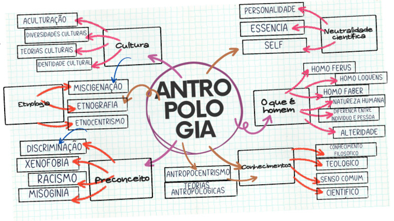 Mapa Mental de Antropologia Cultural | PDF