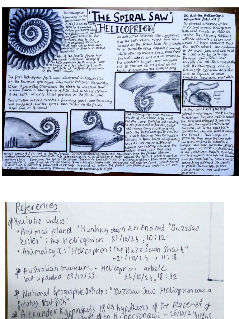 Poster and References | PDF