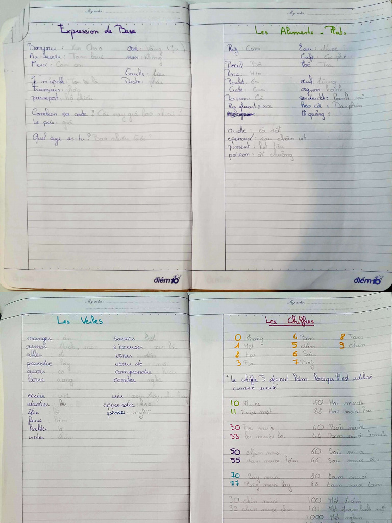 Vietnamese language visual data 6