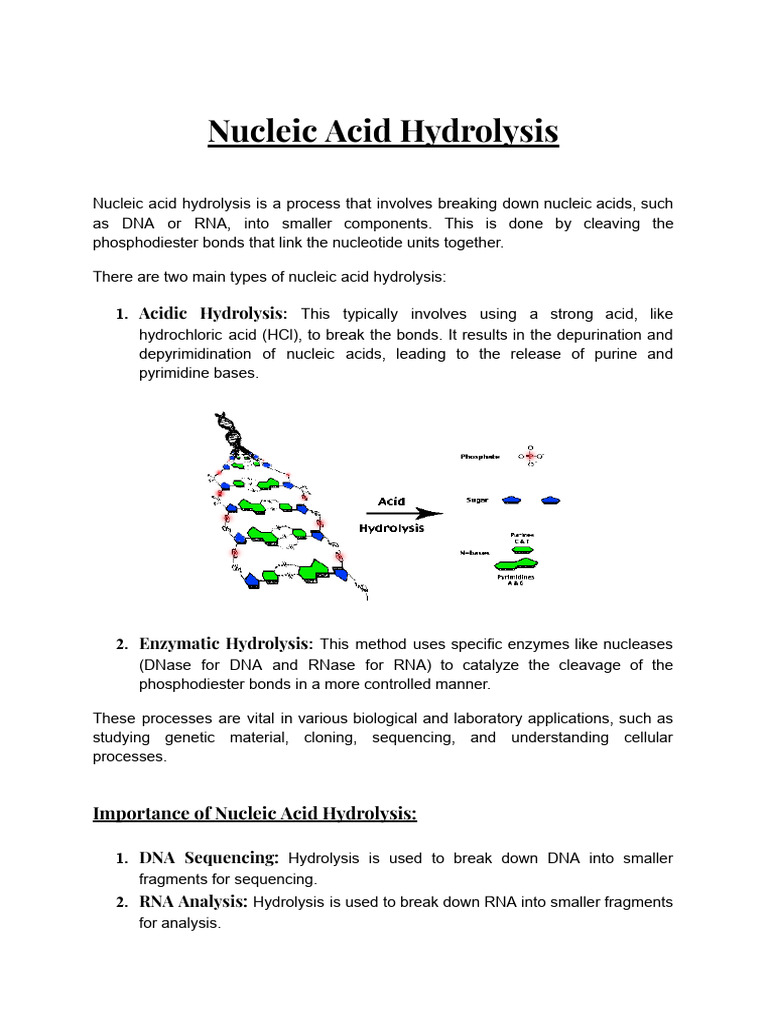 Nucleic Acid Hydrolysis Methods and Importance | PDF | Gel ...