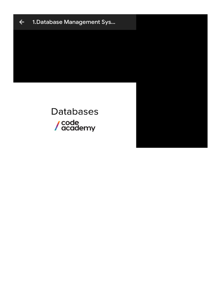 1.database Management Systems (DBMS) - Google Slides | PDF