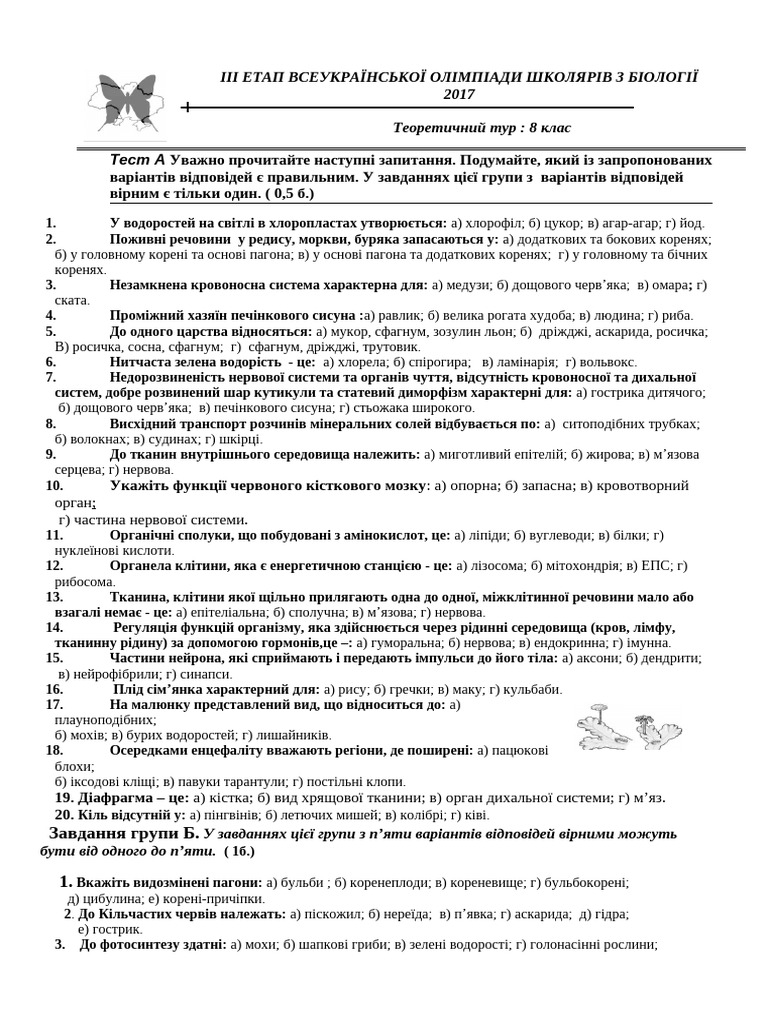 8 microsoft word pdf
