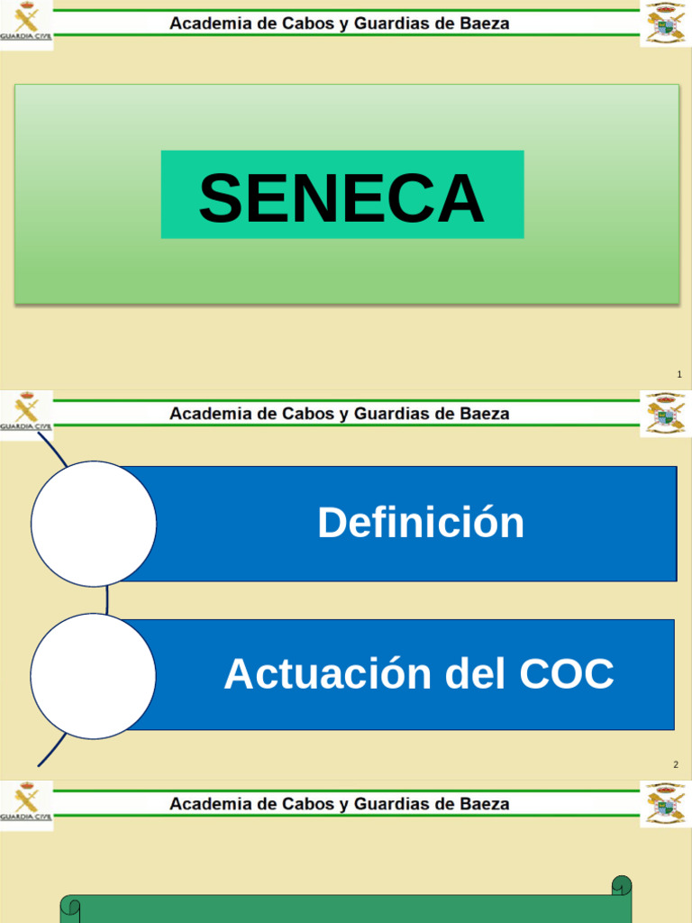 Sistema SENECA: Gestión de Emergencias COC | PDF | Sistema de ...