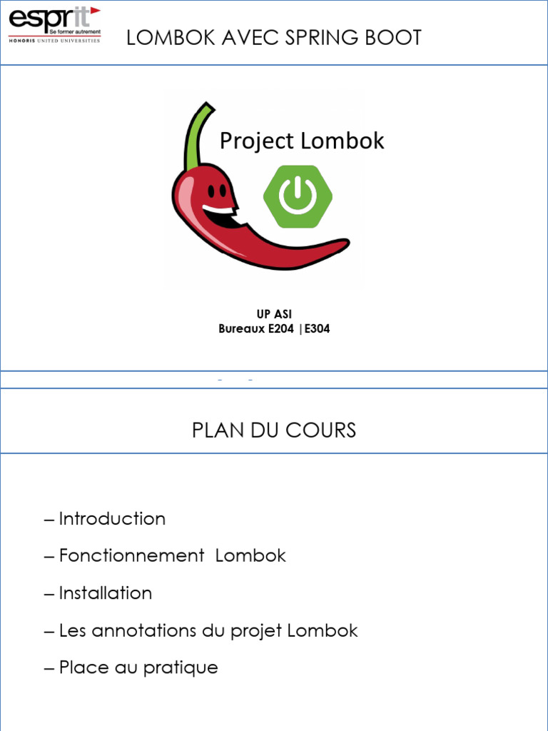 Lombok et Logging dans Spring Boot | PDF | Informatique | Génie logiciel