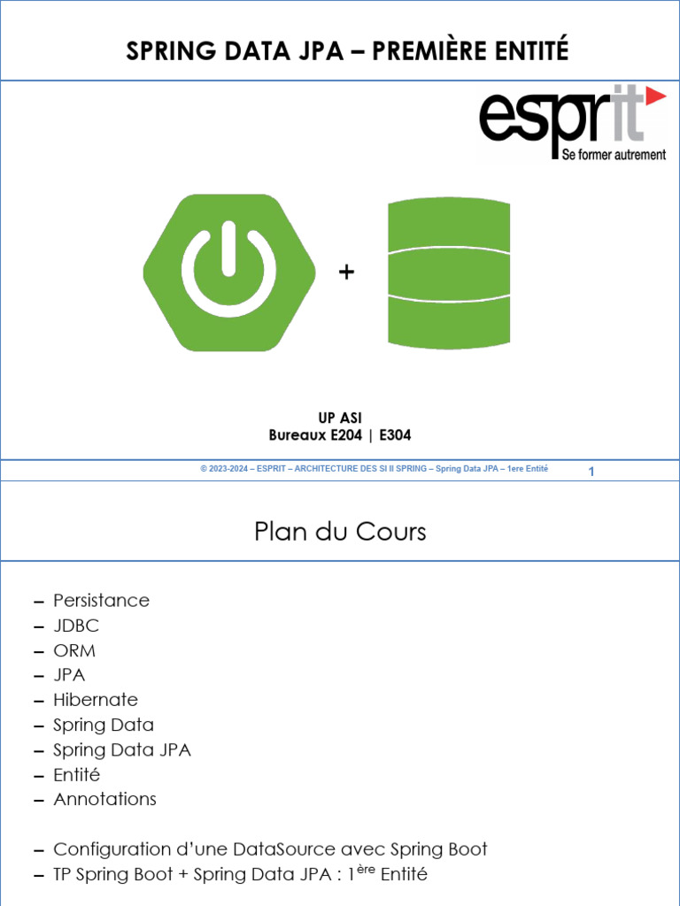 Introduction à Spring Data JPA | PDF | Gestion informatique | Données